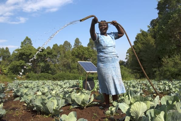 A farm that adopted agrosolar