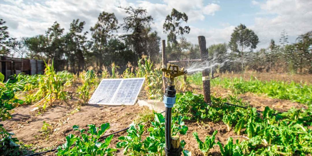 A farm that adopted agrosolar