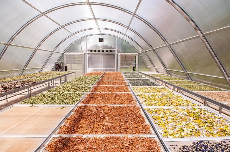 A farm that adopted agrosolar